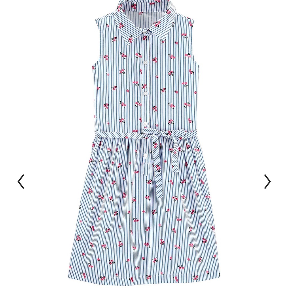 Girls Carter's Floral Striped Shirt Dress*